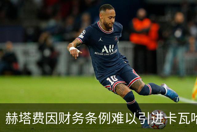 赫塔费因财务条例难以引进卡瓦哈尔